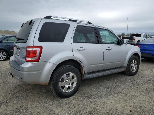 2011 Ford Escape Limited