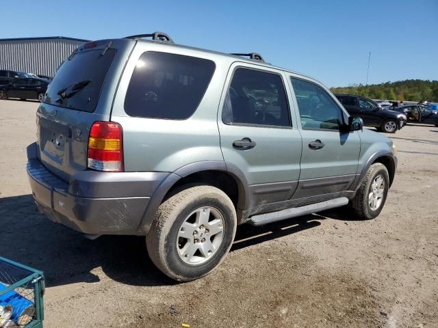 2006 Ford Escape XLT