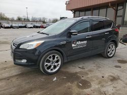 Salvage cars for sale at Fort Wayne, IN auction: 2015 Ford Escape Titanium