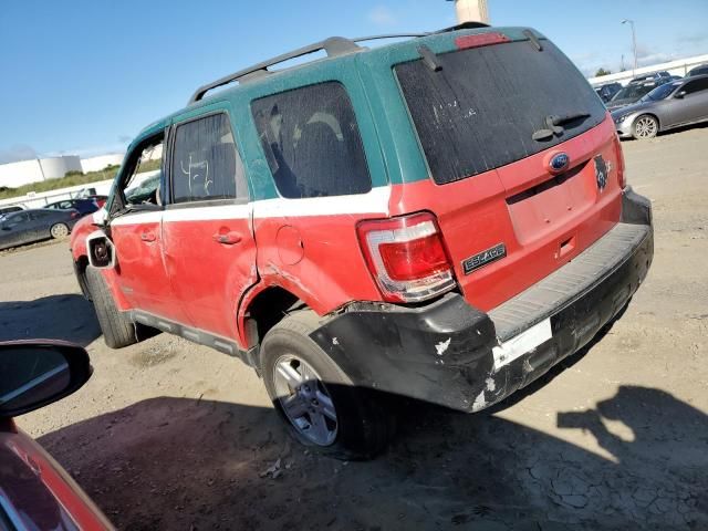 2010 Ford Escape Hybrid