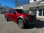 2017 Ford F150 Raptor