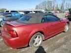 1999 Ford Mustang GT