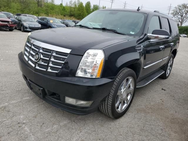 2008 Cadillac Escalade Luxury