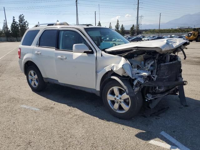 2009 Ford Escape Limited