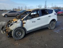 Salvage cars for sale at Montreal Est, QC auction: 2017 Ford Escape S