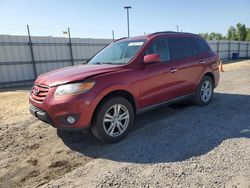 Hyundai Santa fe Limited salvage cars for sale: 2011 Hyundai Santa FE Limited