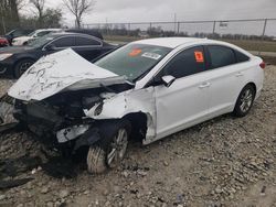 Salvage cars for sale at Cicero, IN auction: 2017 Hyundai Sonata SE