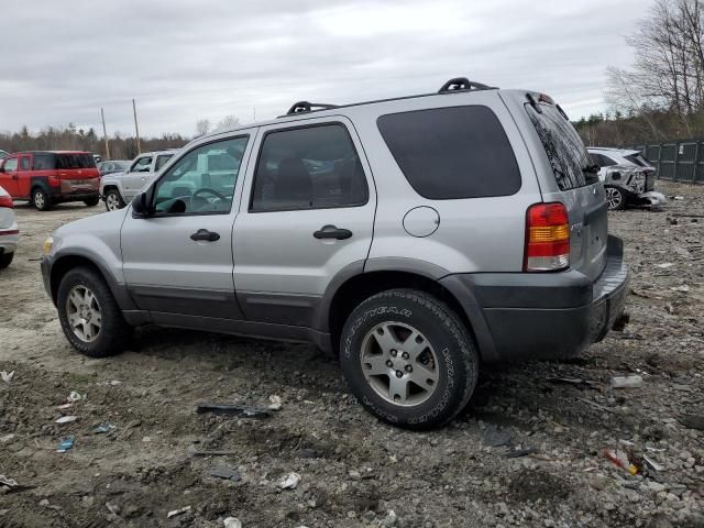 2005 Ford Escape XLT