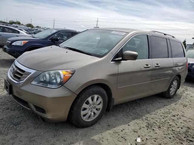 2008 Honda Odyssey EXL