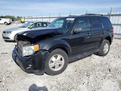 Salvage cars for sale from Copart Cahokia Heights, IL: 2011 Ford Escape XLT