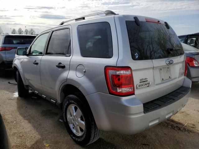 2008 Ford Escape XLT