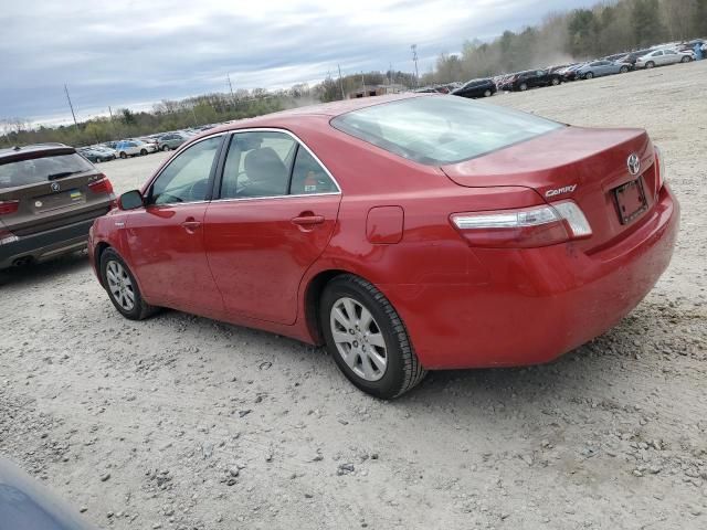 2007 Toyota Camry Hybrid