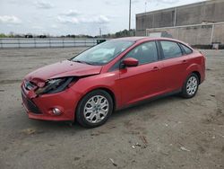 Ford Focus salvage cars for sale: 2012 Ford Focus SE