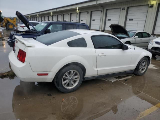 2005 Ford Mustang