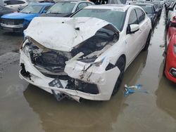 Salvage cars for sale at Martinez, CA auction: 2016 Acura TLX Tech