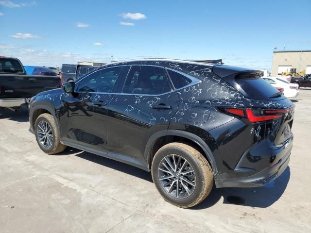 2023 Lexus NX 350