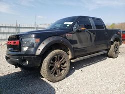 Ford salvage cars for sale: 2014 Ford F150 Supercrew