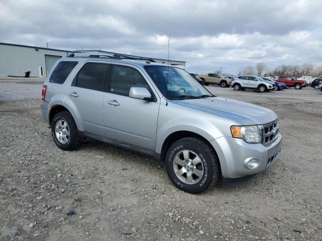 2012 Ford Escape Limited