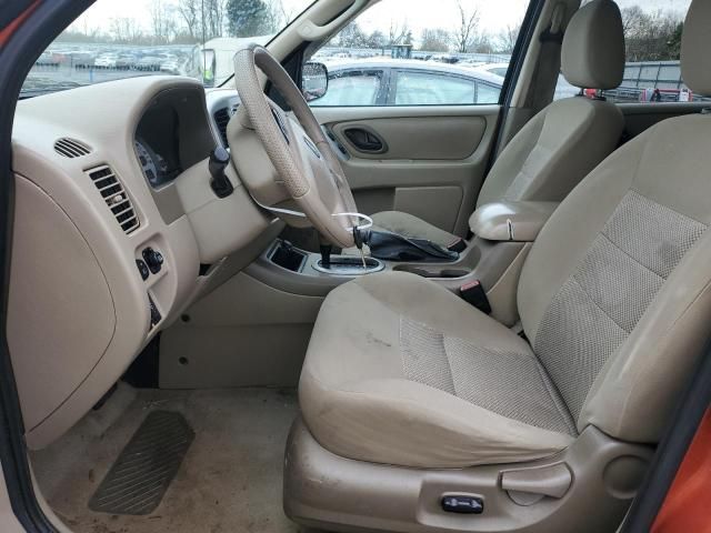 2006 Ford Escape XLT