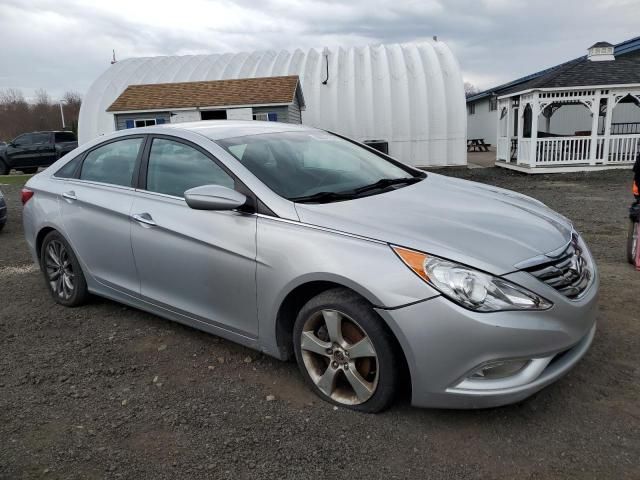 2013 Hyundai Sonata SE