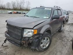 Salvage cars for sale from Copart Leroy, NY: 2012 Ford Escape XLT