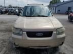 2007 Ford Escape Limited