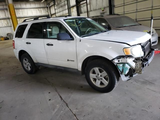 2010 Ford Escape Hybrid