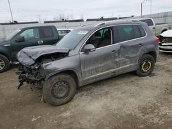 Salvage cars for sale at Nisku, AB auction: 2012 Volkswagen Tiguan S