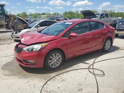 Salvage cars for sale at Louisville, KY auction: 2014 KIA Forte EX