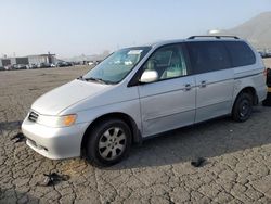 Salvage cars for sale at Colton, CA auction: 2004 Honda Odyssey EXL