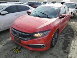 Salvage cars for sale from Copart Martinez, CA: 2019 Honda Civic EXL