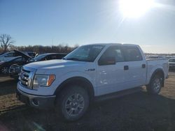 Salvage cars for sale from Copart Des Moines, IA: 2010 Ford F150 Supercrew