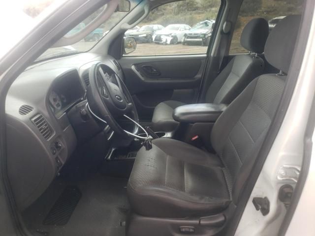 2004 Ford Escape XLT