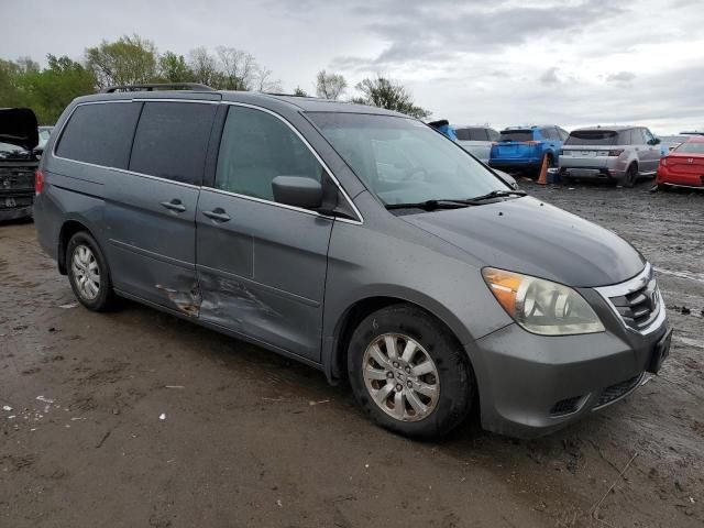 2008 Honda Odyssey EXL