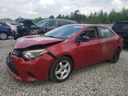 Salvage cars for sale at Memphis, TN auction: 2014 Toyota Corolla L