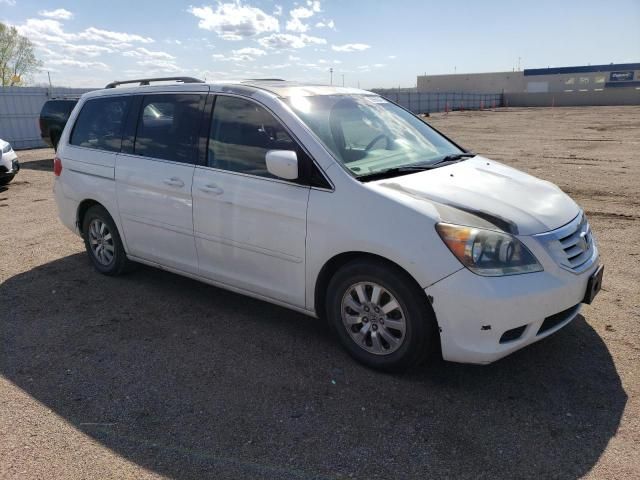 2008 Honda Odyssey EXL