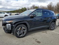 2023 Hyundai Tucson Limited for sale in Brookhaven, NY