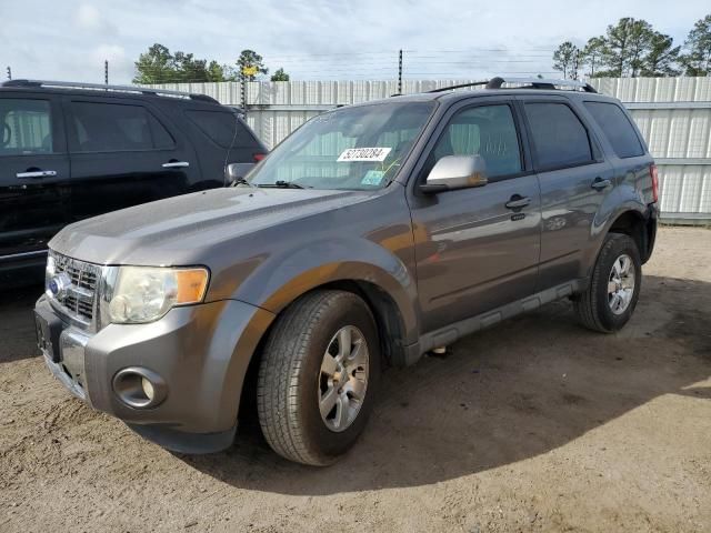 2011 Ford Escape Limited