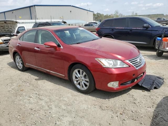 2010 Lexus ES 350