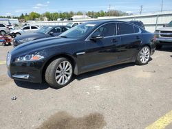 Salvage cars for sale at Pennsburg, PA auction: 2013 Jaguar XF