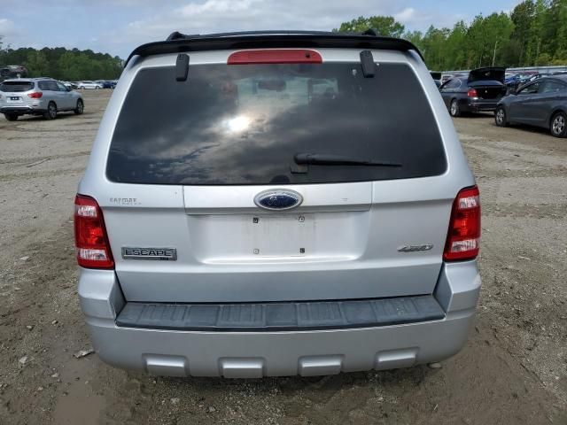 2009 Ford Escape XLT