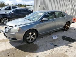 Chevrolet Malibu 2LT Vehiculos salvage en venta: 2008 Chevrolet Malibu 2LT