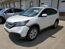 Salvage cars for sale from Copart Louisville, KY: 2013 Honda CR-V EXL