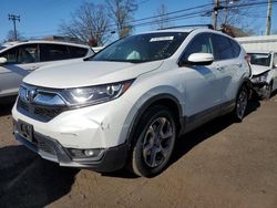 Salvage cars for sale at New Britain, CT auction: 2019 Honda CR-V EXL