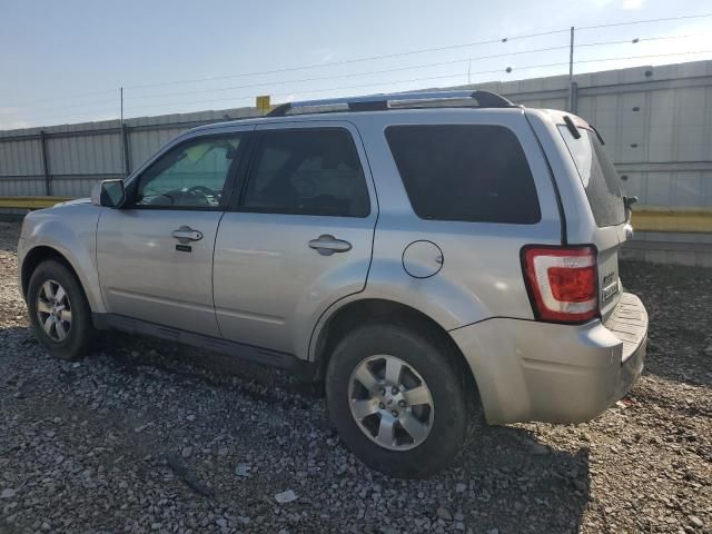 2009 Ford Escape Limited