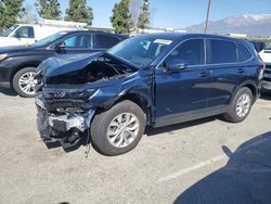 Salvage cars for sale at Rancho Cucamonga, CA auction: 2024 Honda CR-V LX