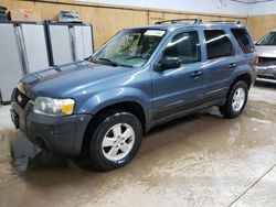 Salvage cars for sale at Kincheloe, MI auction: 2006 Ford Escape XLT
