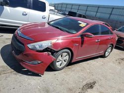 Salvage cars for sale at Albuquerque, NM auction: 2013 Hyundai Sonata Hybrid