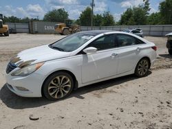 Hyundai salvage cars for sale: 2013 Hyundai Sonata SE