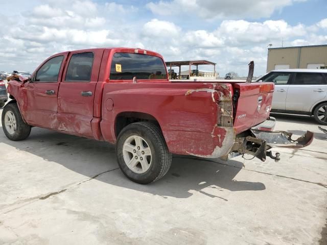 2010 Dodge Dakota SXT